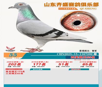 ��ʢС�ۺϸ���55��