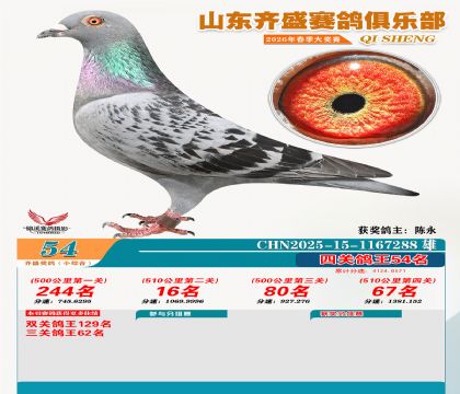 ��ʢС�ۺϸ���54��