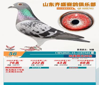 ��ʢС�ۺϸ���56��