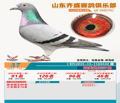 ��ʢС�ۺϸ���57��