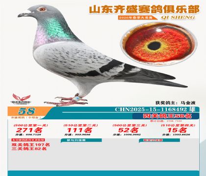 ��ʢС�ۺϸ���58��