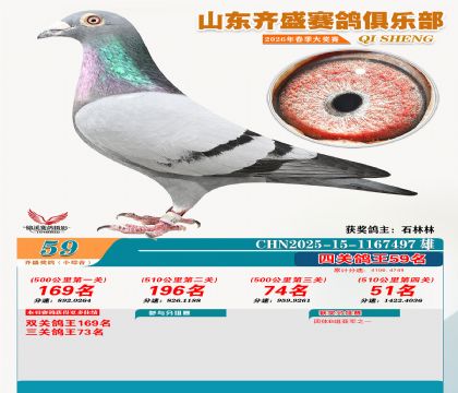��ʢС�ۺϸ���59��