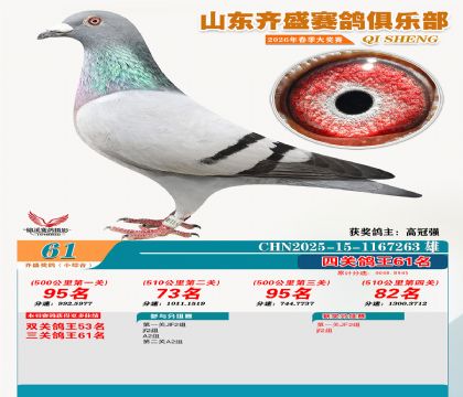 ��ʢС�ۺϸ���61��