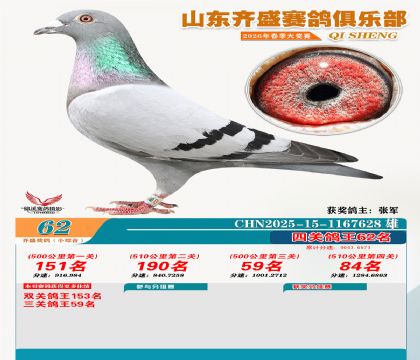 ��ʢС�ۺϸ���62��