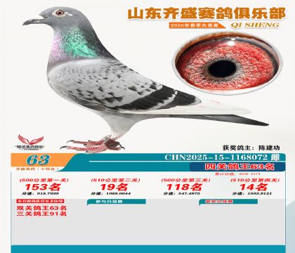 ��ʢС�ۺϸ���63��