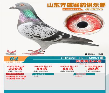 ��ʢС�ۺϸ���64��