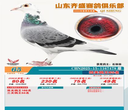 ��ʢС�ۺϸ���65��
