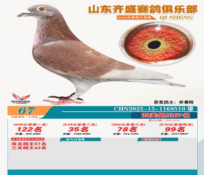 ��ʢС�ۺϸ���67��