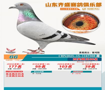 ��ʢС�ۺϸ���66��