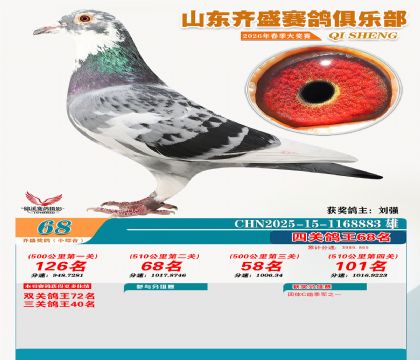 ��ʢС�ۺϸ���68��