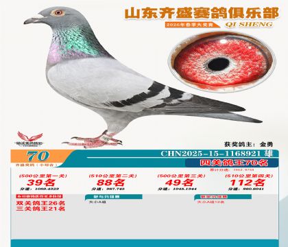 ��ʢС�ۺϸ���70��