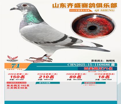 ��ʢС�ۺϸ���71��
