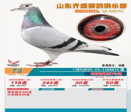 ��ʢС�ۺϸ���73��