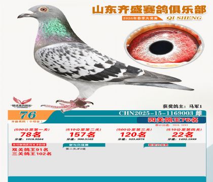 ��ʢС�ۺϸ���76��