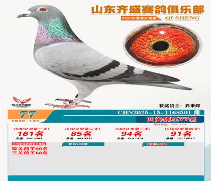 ��ʢС�ۺϸ���77��