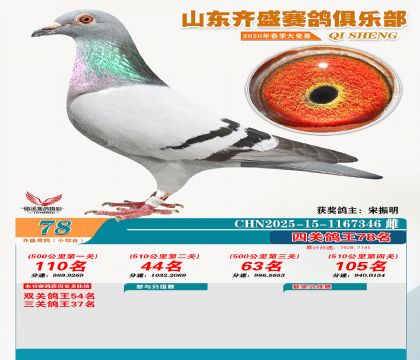 ��ʢС�ۺϸ���78��
