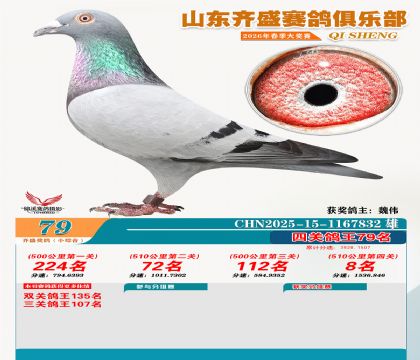 ��ʢС�ۺϸ���79��