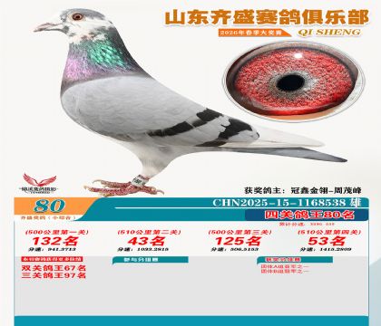 ��ʢС�ۺϸ���80��