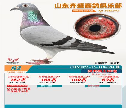 ��ʢС�ۺϸ���82��