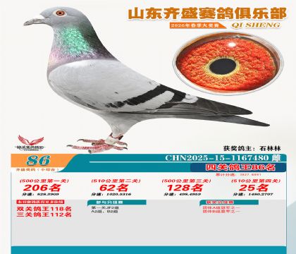 ��ʢС�ۺϸ���86��