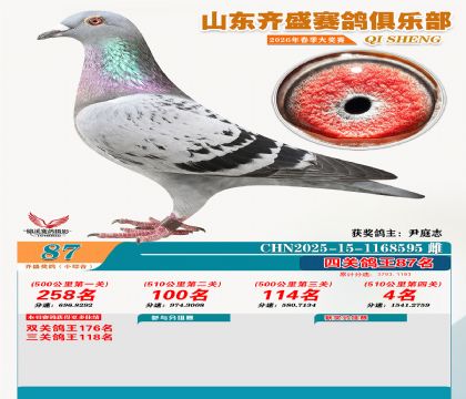 ��ʢС�ۺϸ���87��