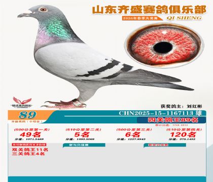 ��ʢС�ۺϸ���89��