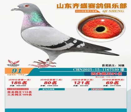 ��ʢС�ۺϸ���91��