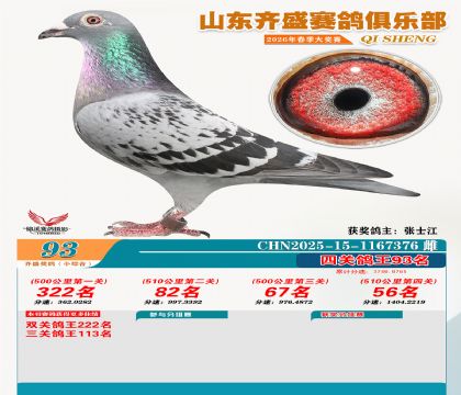 ��ʢС�ۺϸ���93��