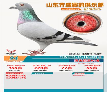 ��ʢС�ۺϸ���94��