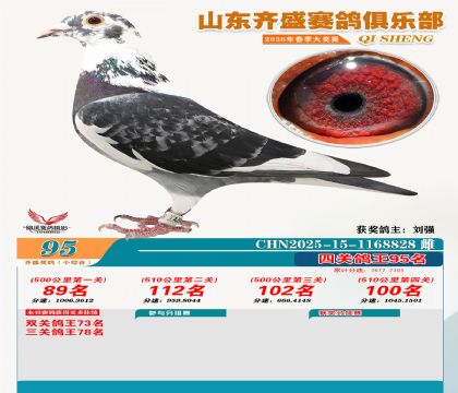 ��ʢС�ۺϸ���95��