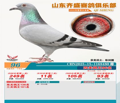 ��ʢС�ۺϸ���96��