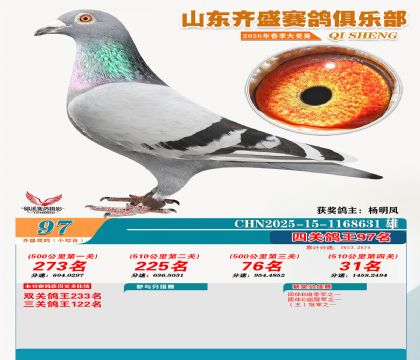 ��ʢС�ۺϸ���97��
