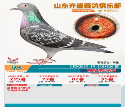 ��ʢС�ۺϸ���98��