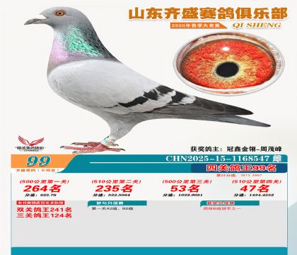 ��ʢС�ۺϸ���99��