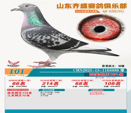 ��ʢС�ۺϸ���101��