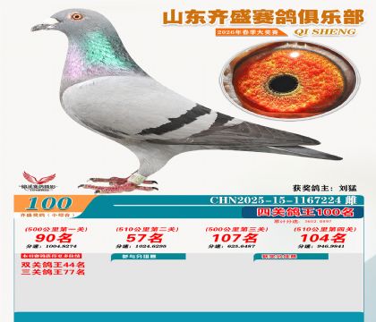 ��ʢС�ۺϸ���100��