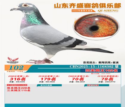 ��ʢС�ۺϸ���102��