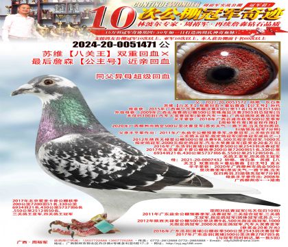 ��ά���˹�����˫�ػ�Ѫ�����ղɭ�������š����׻�Ѫ