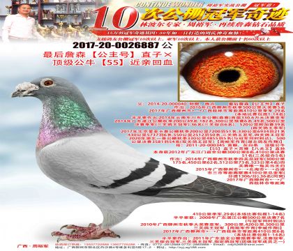 ���ղɭ�������š�ֱ�ӡ�������ţ��55�����׻�Ѫ