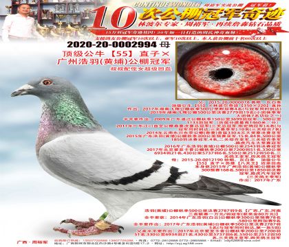 ������ţ��55��ֱ�ӡ����ݺ��𣨻��ң�����ھ�