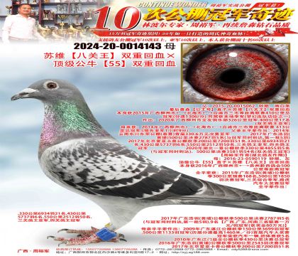 ��ά���˹�����˫�ػ�Ѫ�� ������ţ��55��˫�ػ�Ѫ