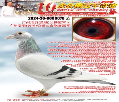 ���ݺ��𣨻��ң�����ھ������ݺ��𣨻��ң�������ʡ�����ھ�