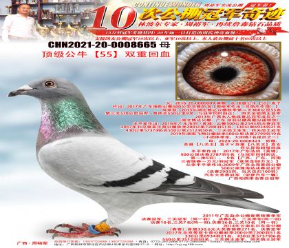 ������ţ��55��˫�ػ�Ѫ