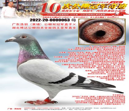 �㶫���𣨻��ң�����˫�ھ�ֱ�ӡ��������﹫���Ĺ�ȫ�ܸ����Ǿ�