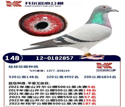 ĸ����������148��