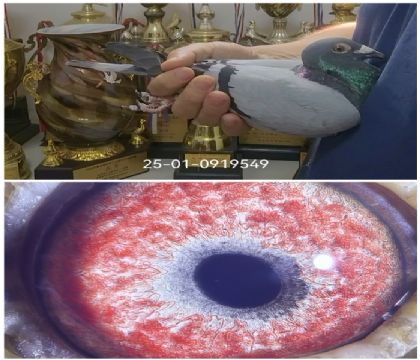 ��Ĭ�¸���10��ƽ��0919549