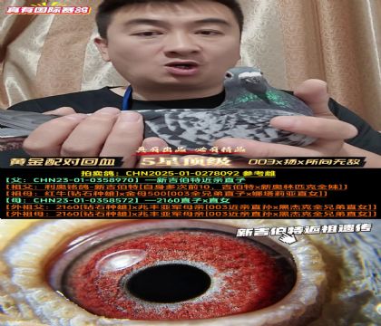 ���ƽ���Ի�Ѫ��003x��x�����޵�