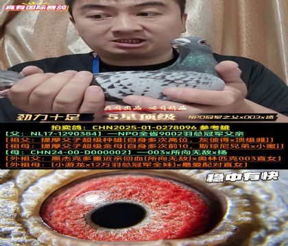 ������ʮ�㡷NPO�ھ�֮��x003x��