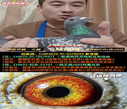 �������ָ��ۡ��°���ƥ��x��x003