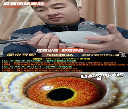 ��ͬ�ڻ��䡷���ض���Ѫ003x��